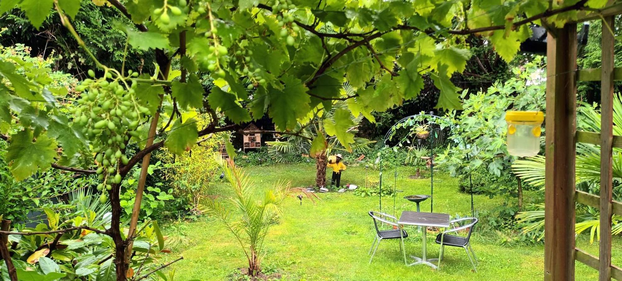 Gite Du Jardin Secret Saint-Valery-sur-Somme Εξωτερικό φωτογραφία